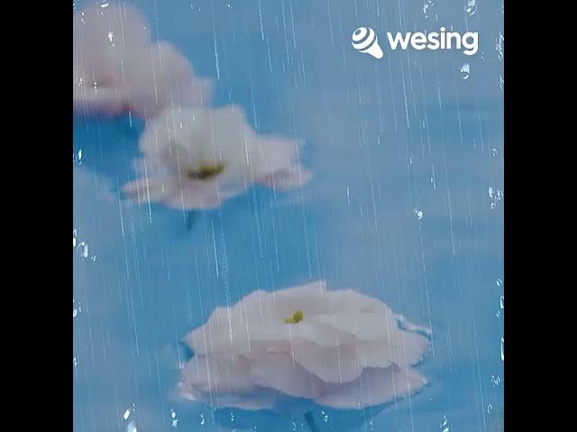 JANGAN RUBAH TAKDIRKU Cover Rainy Zikri WeSing