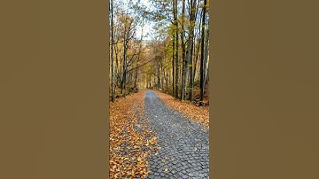 سورة نوح للقارئ  ھشام الھراز قراءة تريح القلب