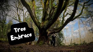Tree Embrace - Mindful Yoga Stances & Cinematic Eco Therapy / GoPro Hero12 by Curious Bo 67 views 1 month ago 8 minutes, 48 seconds