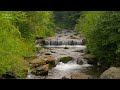 Barulho da Natureza para Relaxar Profundamente, Sons da Natureza com Piano, Música para Meditar