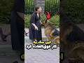 این سگ یه کار فوق العاده کرد 