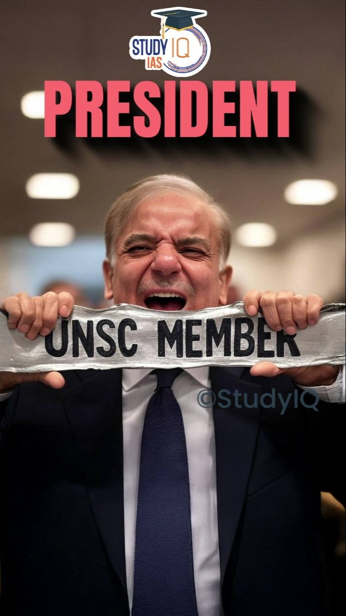 PAKISTAN IS A UNSC MEMBER NOW | Can you believe it?