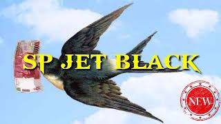 Download Mp3 Sp JET BLACK Gudang lagu Download Mp3 Sp JET BLACK