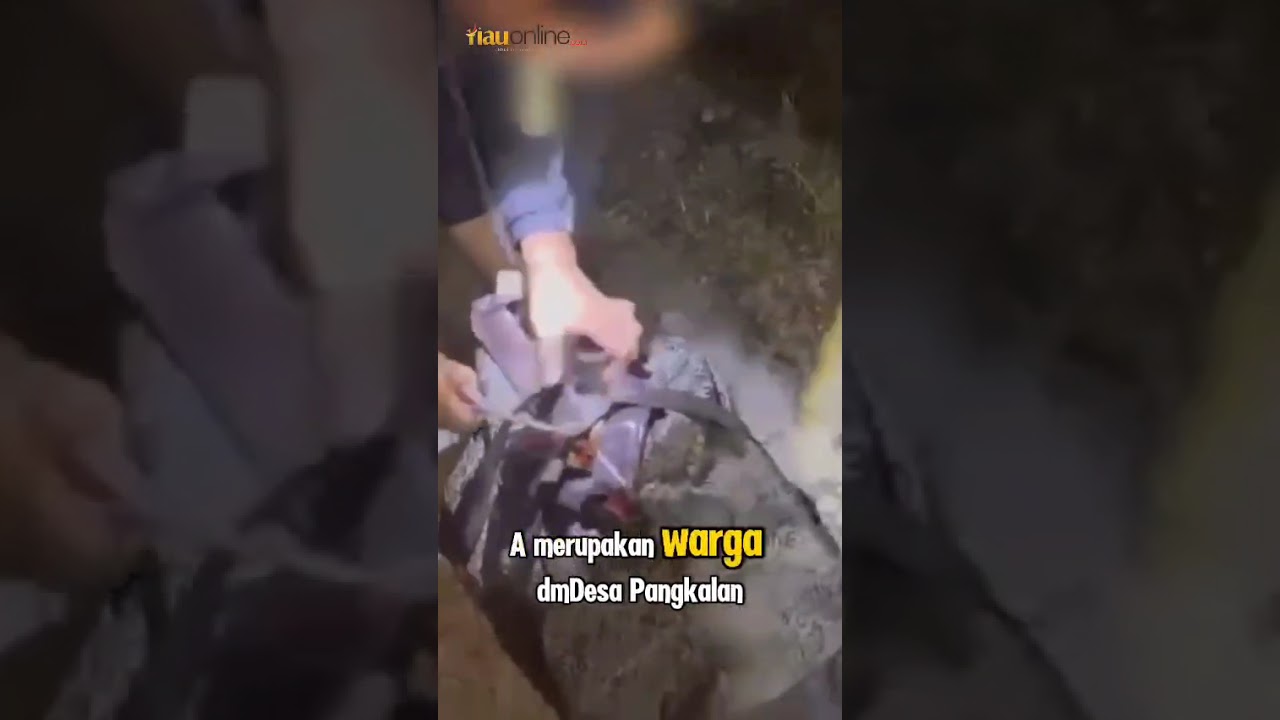 Video Penangkapan 35,6 Kg Sabu dan 35 Ribu Ekstasi Jaringan Internasional Gagal Diselundupkan di Ben