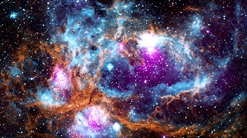 A Deep Dream of a Neural Network