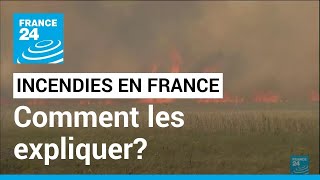 Incendies en France : Quelles raisons expliquent leur multiplication? • FRANCE 24