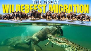 The Great Wildebeest Migration