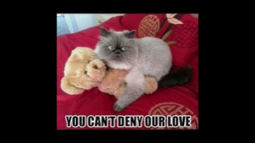 UNCONDITIONAL LOVE #dothingsyoudo#