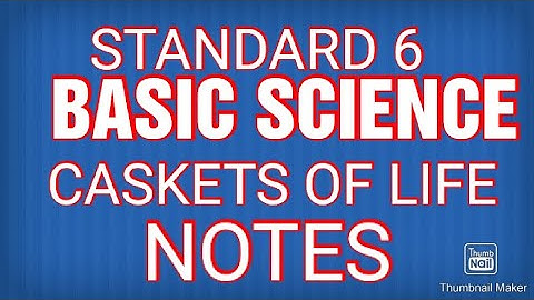 Caskets of life Notes | Class 6  | Basic science | Questions and answers