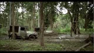 Live Young Live Free