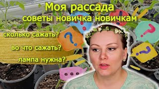 Первая рассада! Делюсь опытом