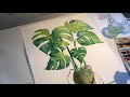 Painting a monstera in watercolour.