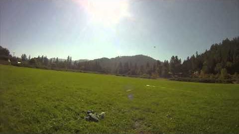 MIM paramodels - Ivon