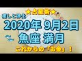 【占星術】9月2日魚座満月♓ホロスコープ解説🐡いよいよ新時代へ🎊これからの「お金」とは?😆👛