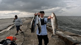 UNBELIEVABLE TEXAS JETTY FISHING !!