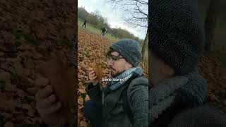 Where are leaves going?!