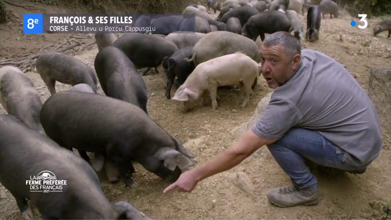 François Albertini dans 
