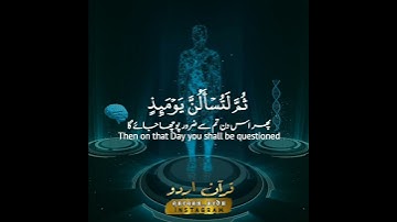 ألهاكم التكاثر | سورة التكاثر | Surah At Takaathur | القارئ مزمل حسب الله | Muzammil HasbAllah