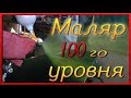 royal quest - 100 LVL Покраски!!!