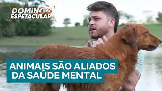 Animais de estimação auxiliam a manter e recuperar saúde mental dos tutores