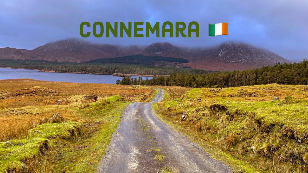 Connemara| Connemara Ponies | Ireland 