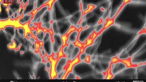 Eurasian Bitter, migrating, Burgsvik, Gotland, 14 November 2025. Filmed with a thermal camera.