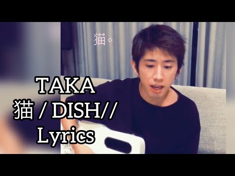 TAKA / 猫 / DISH// / Lyrics / 歌詞