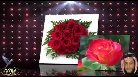 55 سورة الرحمن كاملة للقارئ الشيخ هاني الرفاعي
