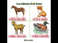 Les animaux de la ferme