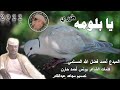 جديد الفنان احمد فضل الله المسلمي يا بلومه طيري 2022 