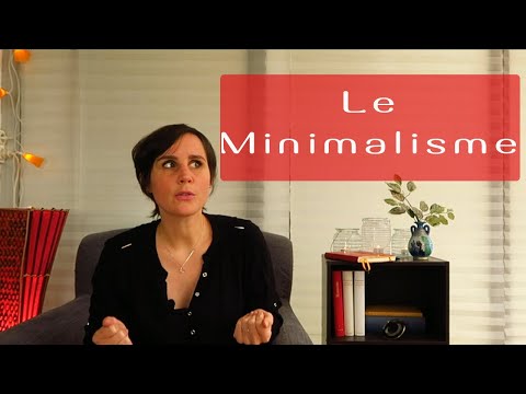 Vidéo: Qu'est-ce que le maximalisme en littérature ?