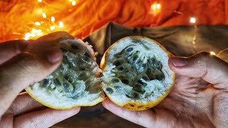 видео: АСМР/ ASMR  какие бывают фрукты / Тихий Голос картинка: АСМР/ ASMR  какие бывают фрукты / Тихий Голос