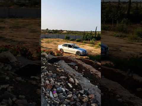 خلوها من حقها تدلع لكبيدة نص  وري