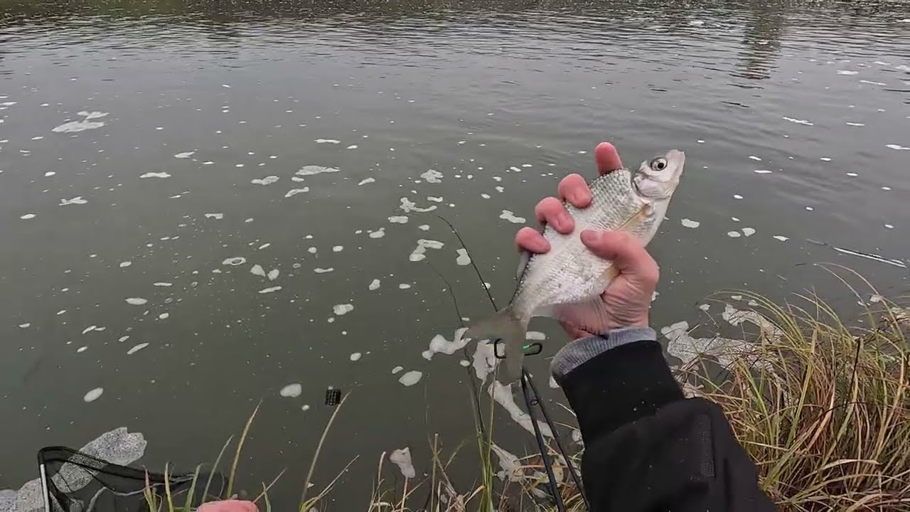 Téli Keszegezés Finomszerelékes Módszerrel
