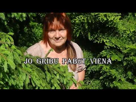 Video: Netraucēt rūti?