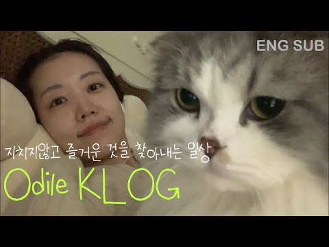 (ENG) vlog “ 주부생활 • 🏠<strong>미니어처</strong> <strong>하우스</strong> 만들기 도전 • 집밥 • 집순이 집돌이 • Korean Life Log