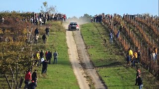 ERC Rally Hungary 2020 Nyíregyháza HIGHLIGHTS