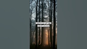 Edge AI Awakening: Real-Time Environment Sensing