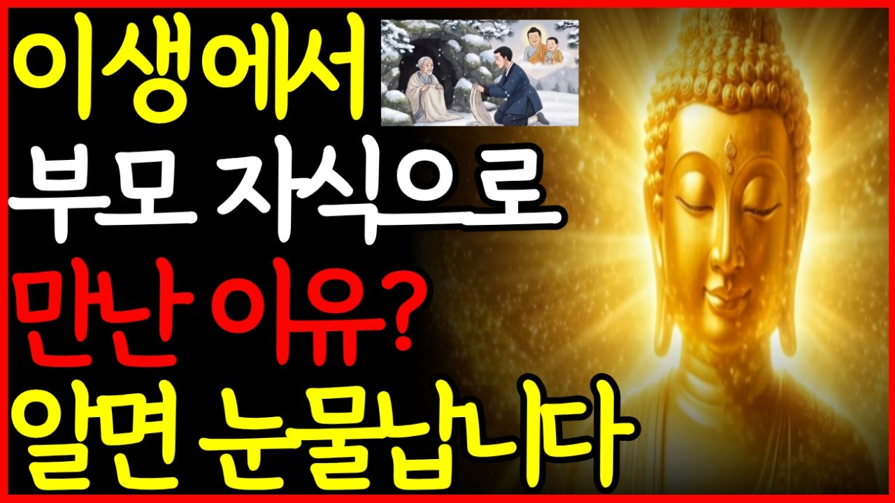 이 생에서 부모와 자식으로 만난 진짜 이유 아는 순간 눈물납니다ㅣ부처님이 밝힌 인연ㅣ부처님말씀ㅣ불교법문ㅣ석가모니가르침.부처님말씀 ...