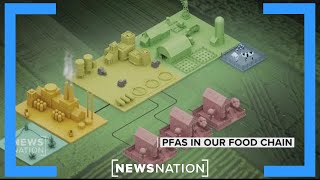 Impact of fertilizer ‘sludge’ on prime American cropland | NewsNation Prime