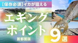 【保存版】イカが釣れる場所の探し方＆東京・神奈川・千葉の実績ポイント9選