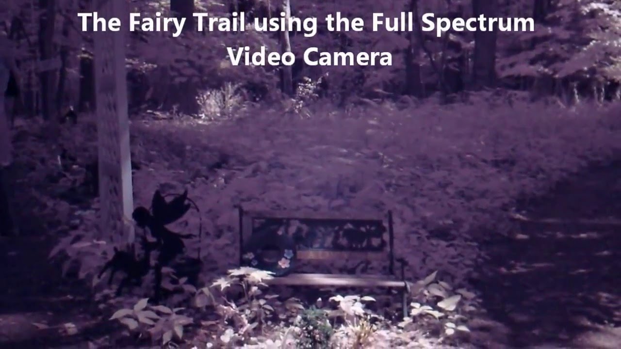 Lily Dale Assembly 2013