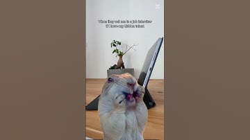 My hidden talent #jobinterview #talent #jobmemes