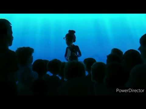 فيلم السمكه دوري بطولة المجموعة 