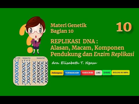 Video: Apa tujuan dari replikasi?