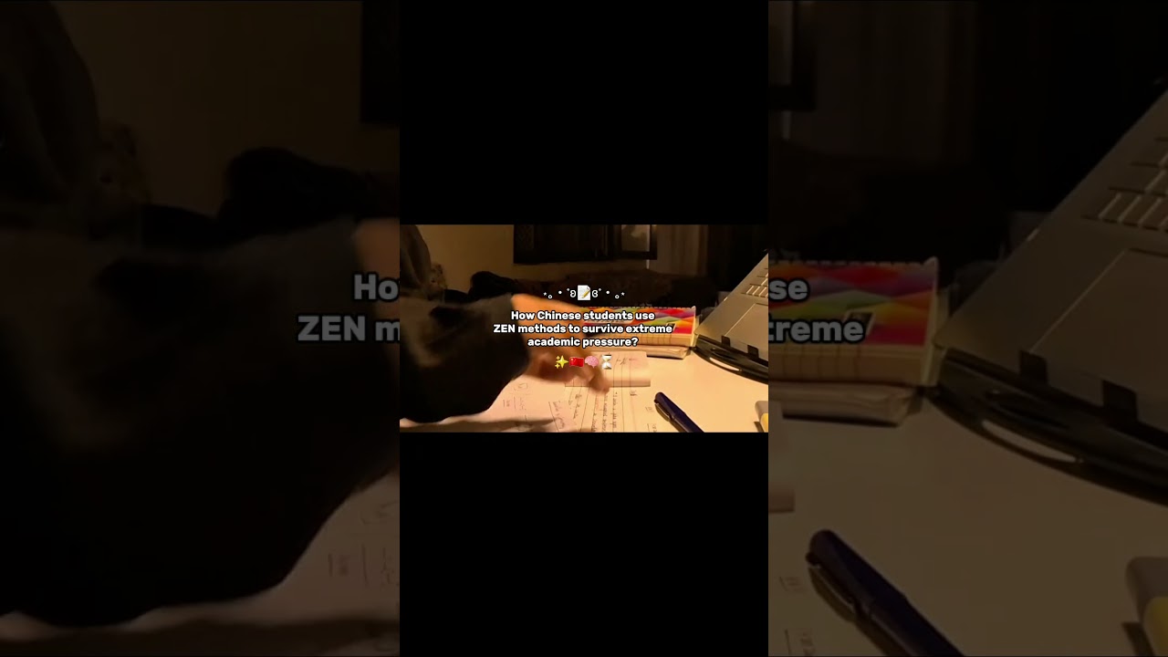 How Chinese students use ZEN methods to survive extreme academic pressure? 💀