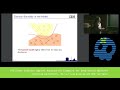 [GreHack 2017] Efficient Defenses against Adversarial Examples for Deep Neural Networks