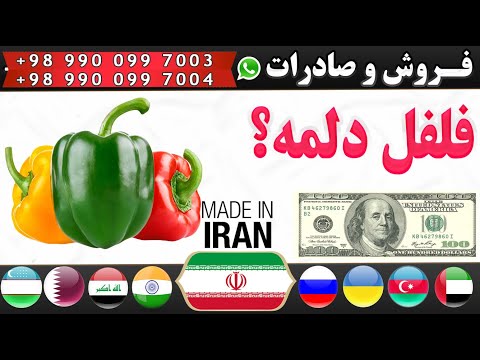 تصویری: انتخاب فلفل دلمه ای برای مرکز روسیه