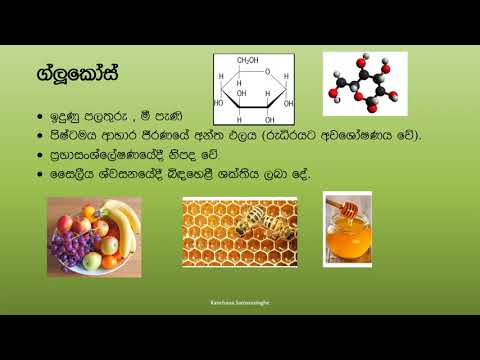 10 ශ්‍රේණිය - 1පාඩම - ජෛව අණු සහ කාබොහයිඩ්‍රේට හැදින්වීම