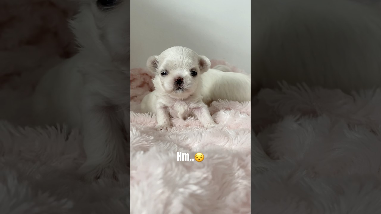 Have I gone viral yet??🥵